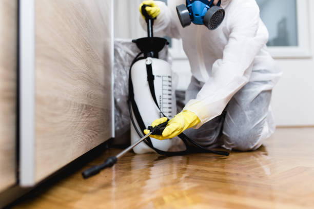 Best Pest Prevention Services  in Johnstonville, CA