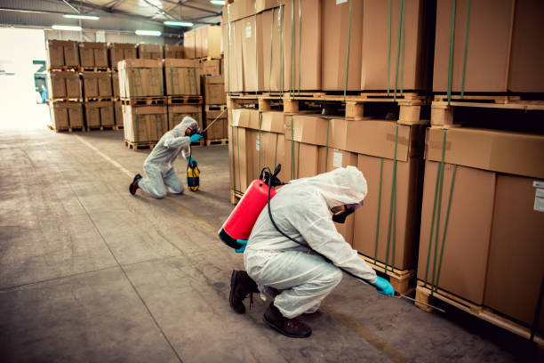 Reliable Johnstonville, CA Pest Control Solutions