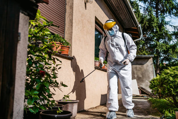 Best Bed Bug Extermination  in Johnstonville, CA