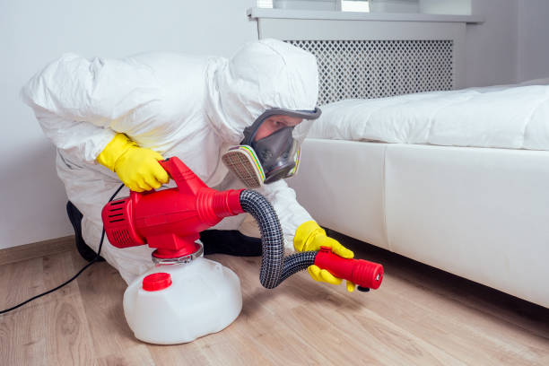 Best Rat Extermination Near Me  in Johnstonville, CA