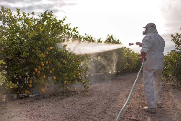 Best Best Pest Control Companies  in Johnstonville, CA