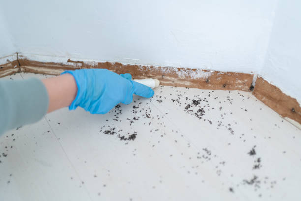 Best Commercial Pest Control Services  in Johnstonville, CA