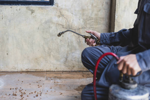  Johnstonville, CA Pest Control Pros